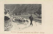 1904-no-vi In cerca di pascolo sul Monte Spluga_ProFo -00001A-CH1camp.jpg